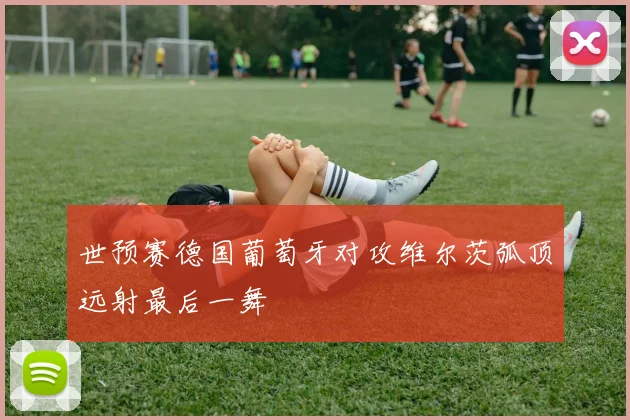 世预赛德国葡萄牙对攻维尔茨弧顶远射最后一舞