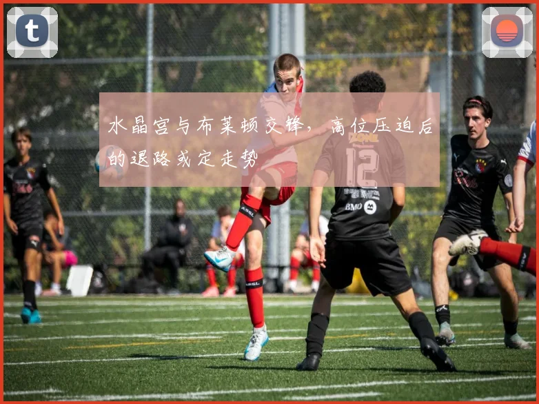 水晶宫与布莱顿交锋，高位压迫后的退路或定走势