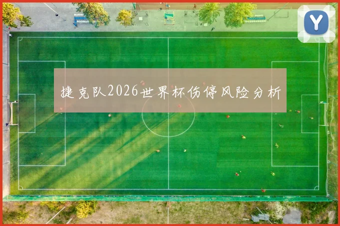 捷克队2026世界杯伤停风险分析