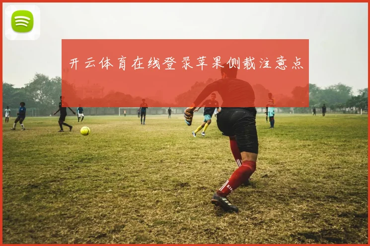 开云体育在线登录苹果侧载注意点