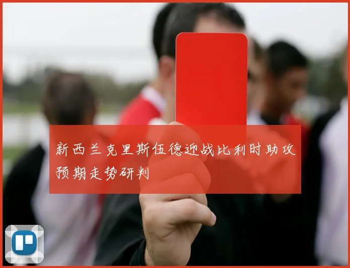 新西兰克里斯伍德迎战比利时助攻预期走势研判