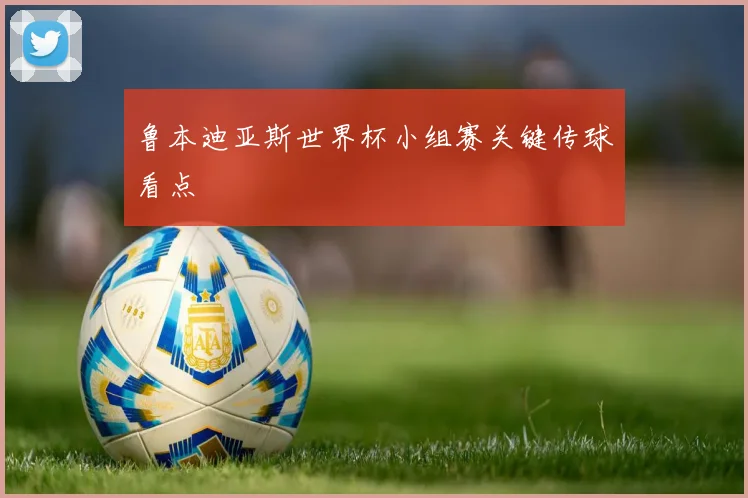 鲁本迪亚斯世界杯小组赛关键传球看点