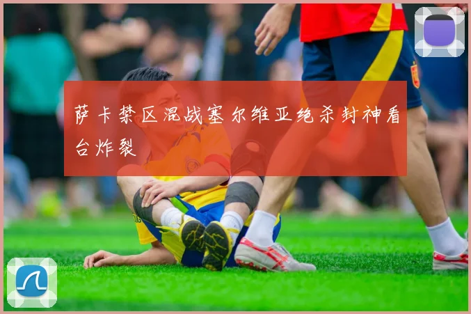 萨卡禁区混战塞尔维亚绝杀封神看台炸裂