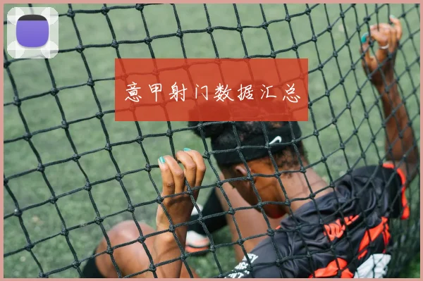 意甲射门数据汇总